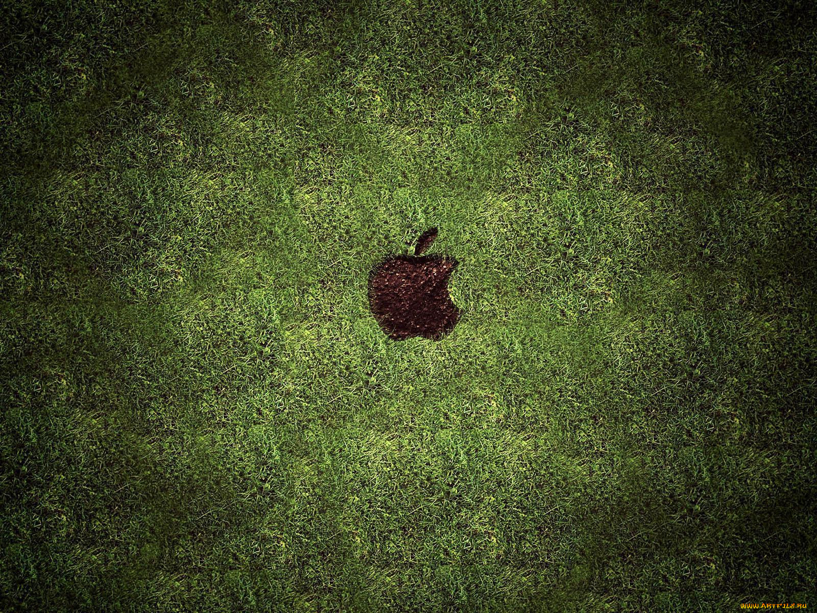 , apple